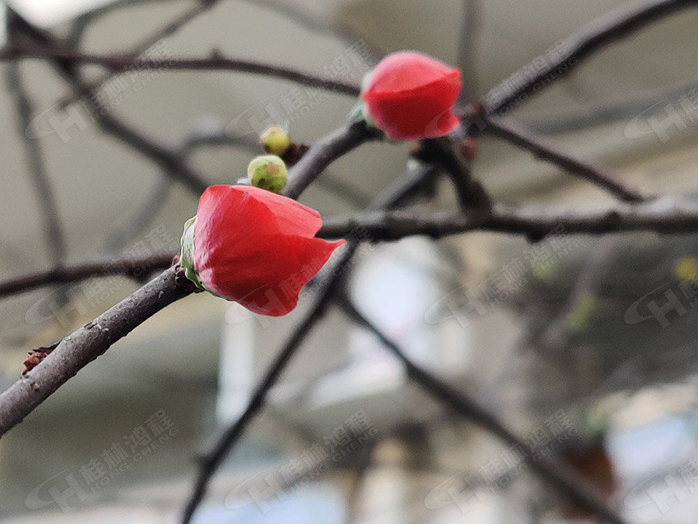 桂林鴻程花團(tuán)錦簇，滿園春色，邀您一起共賞春景，共商大計(jì)！