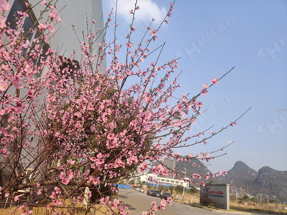 桂林鴻程花團(tuán)錦簇，滿園春色，邀您一起共賞春景，共商大計(jì)！